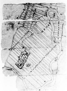 PVMA digital collections